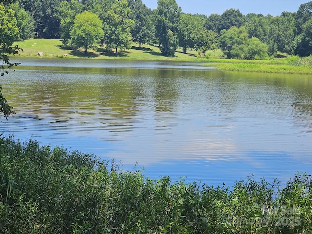 0000 Deer Tract Cir, Lancaster, SC 29720 - photo 5