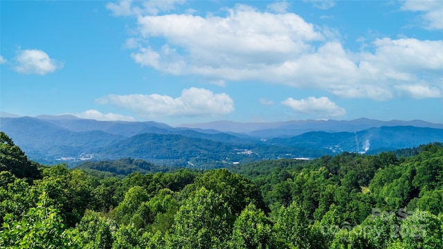 0 Monteith Branch Rd, Sylva, NC 28779 - photo 1