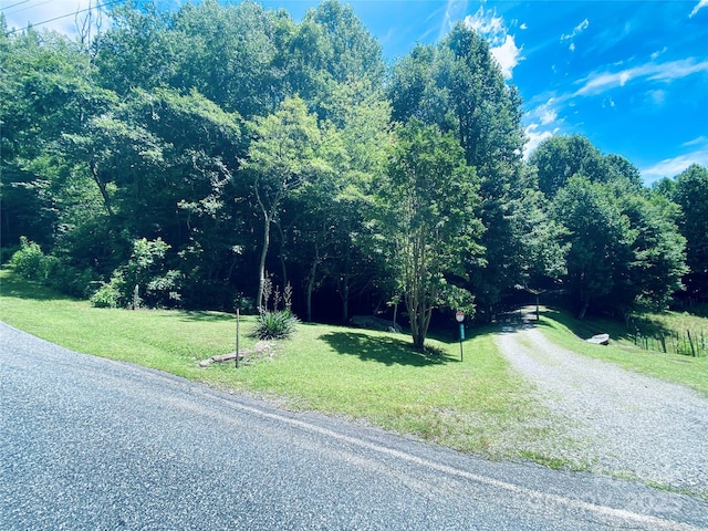 0 Monteith Branch Rd, Sylva, NC 28779 - photo 2