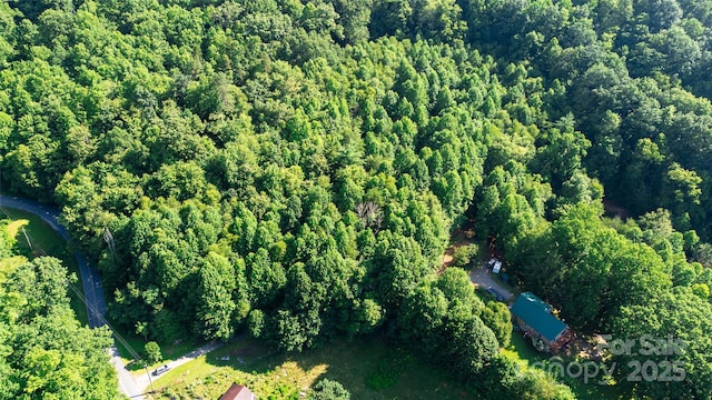 0 Monteith Branch Rd, Sylva, NC 28779 - photo 6