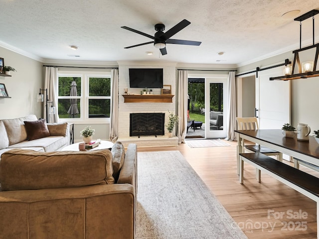 218 Blue Ridge Rd, Black Mountain, NC 28711 - photo 6