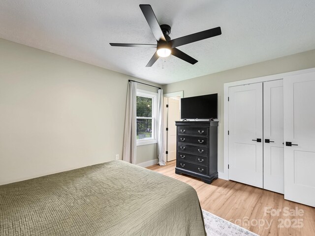 218 Blue Ridge Rd, Black Mountain, NC 28711 - photo 20