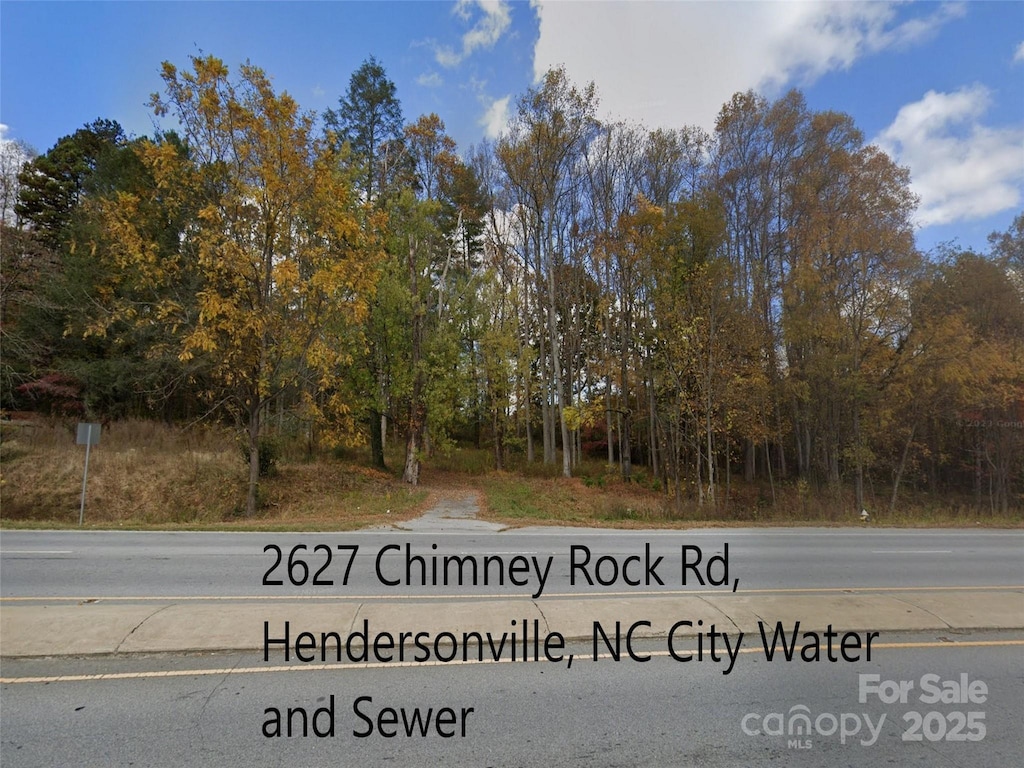 2627 Chimney Rock Rd, Hendersonville, NC 28792 - photo 4