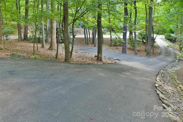 409 N Fork Rd, Black Mountain, NC 28711 - photo 44