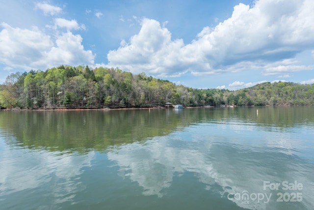 TBD Dockside Dr Unit 13A, Nebo, NC 28761 - photo 8