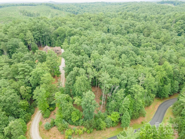 TBD Dockside Dr Unit 13A, Nebo, NC 28761 - photo 18