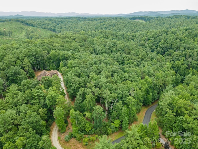 TBD Dockside Dr Unit 13A, Nebo, NC 28761 - photo 19