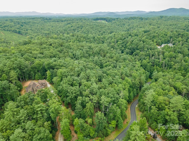 TBD Dockside Dr Unit 13A, Nebo, NC 28761 - photo 20