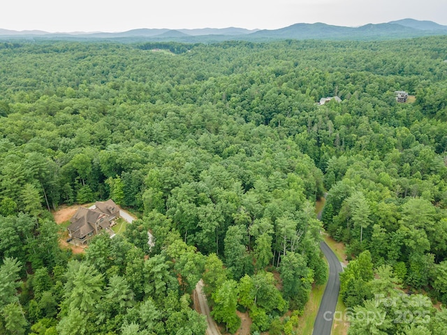 TBD Dockside Dr Unit 13A, Nebo, NC 28761 - photo 21