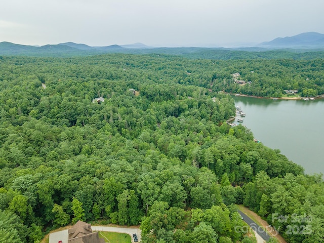 TBD Dockside Dr Unit 13A, Nebo, NC 28761 - photo 22