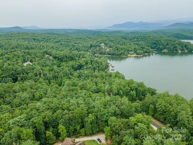 TBD Dockside Dr Unit 13A, Nebo, NC 28761 - photo 23