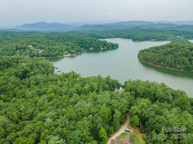 TBD Dockside Dr Unit 13A, Nebo, NC 28761 - photo 24