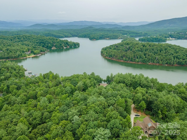 TBD Dockside Dr Unit 13A, Nebo, NC 28761 - photo 25