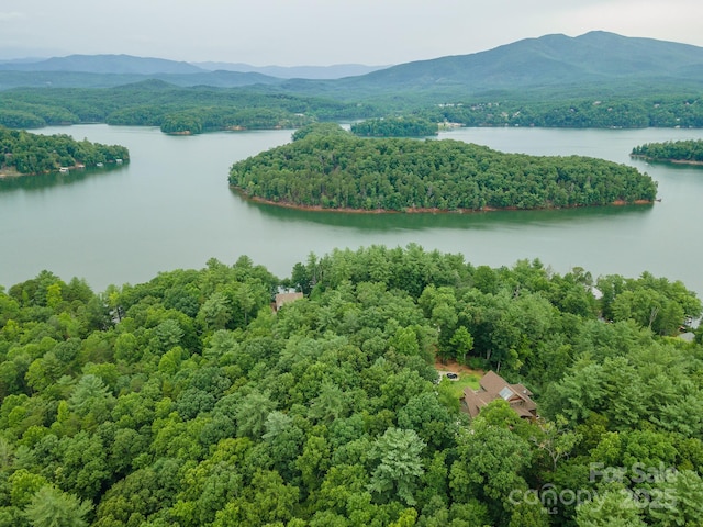 TBD Dockside Dr Unit 13A, Nebo, NC 28761 - photo 26
