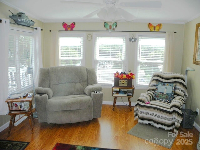 218 Cardinal Dr, New London, NC 28127 - photo 10
