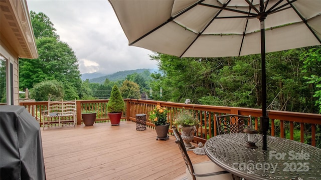 118 Rolling Ln, Maggie Valley, NC 28751 - photo 16