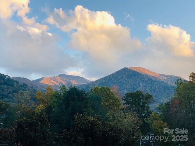118 Rolling Ln, Maggie Valley, NC 28751 - photo 29