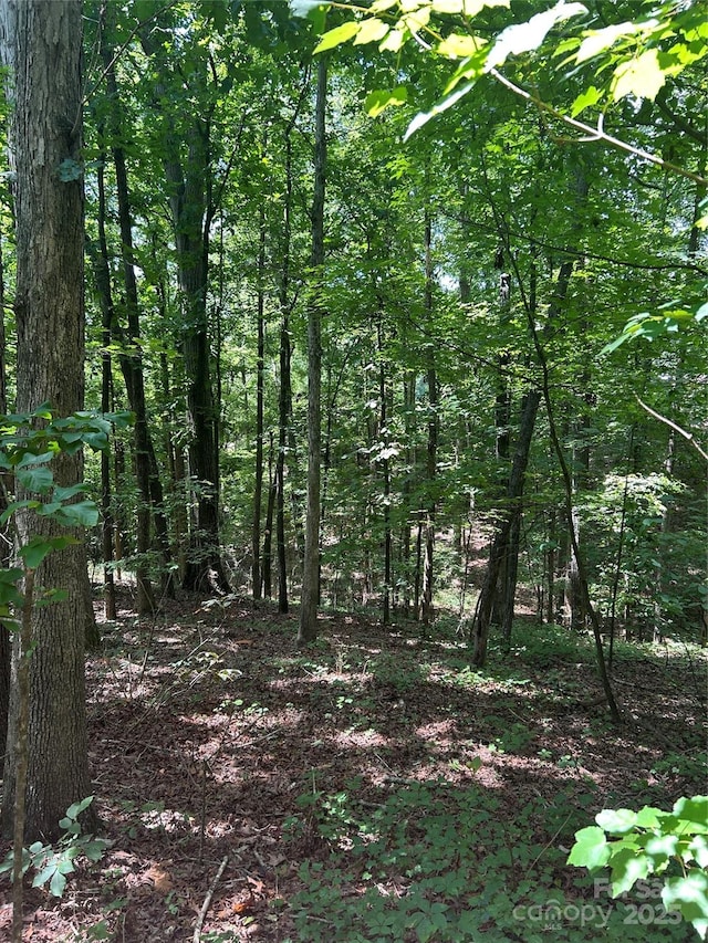 8710 Whitley Rd, Norwood, NC 28128 - photo 2