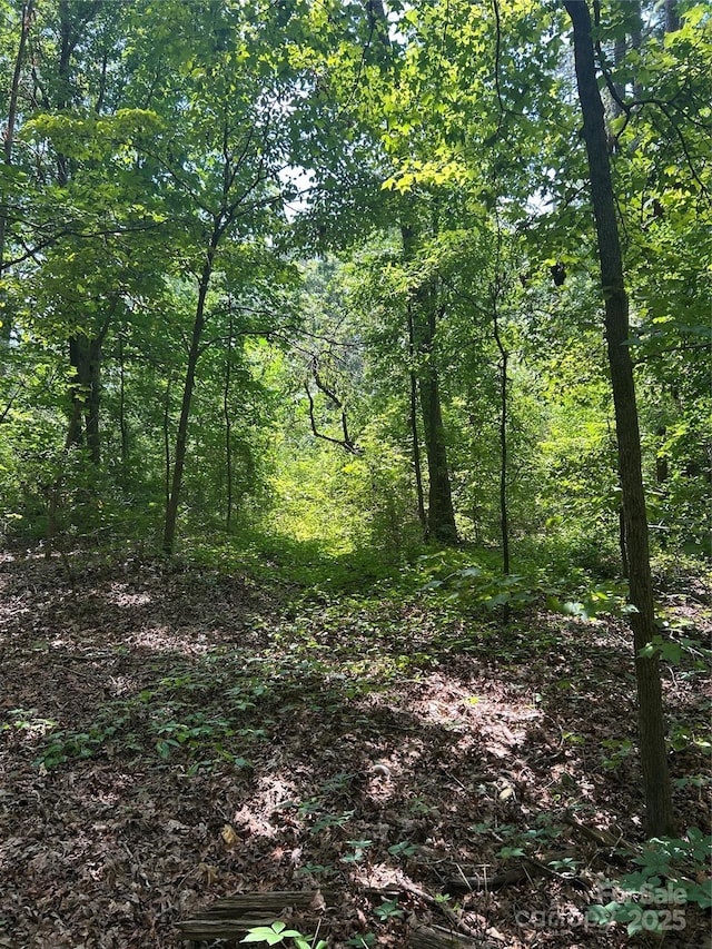 8710 Whitley Rd, Norwood, NC 28128 - photo 3