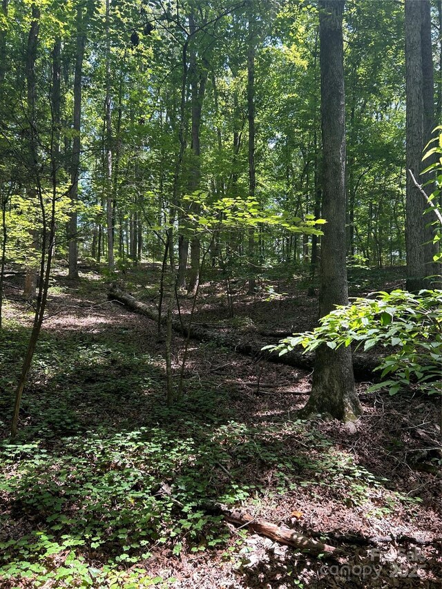 8710 Whitley Rd, Norwood, NC 28128 - photo 5