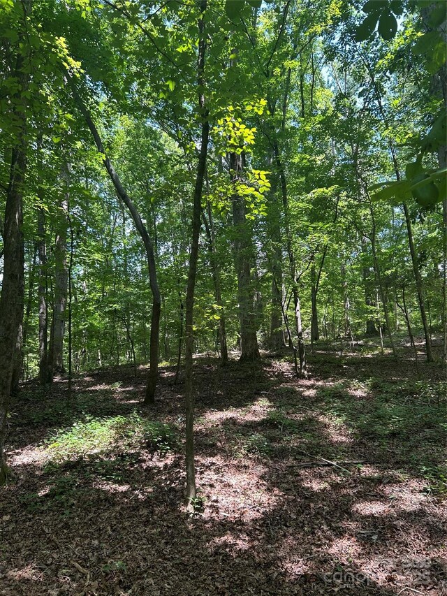 8710 Whitley Rd, Norwood, NC 28128 - photo 6