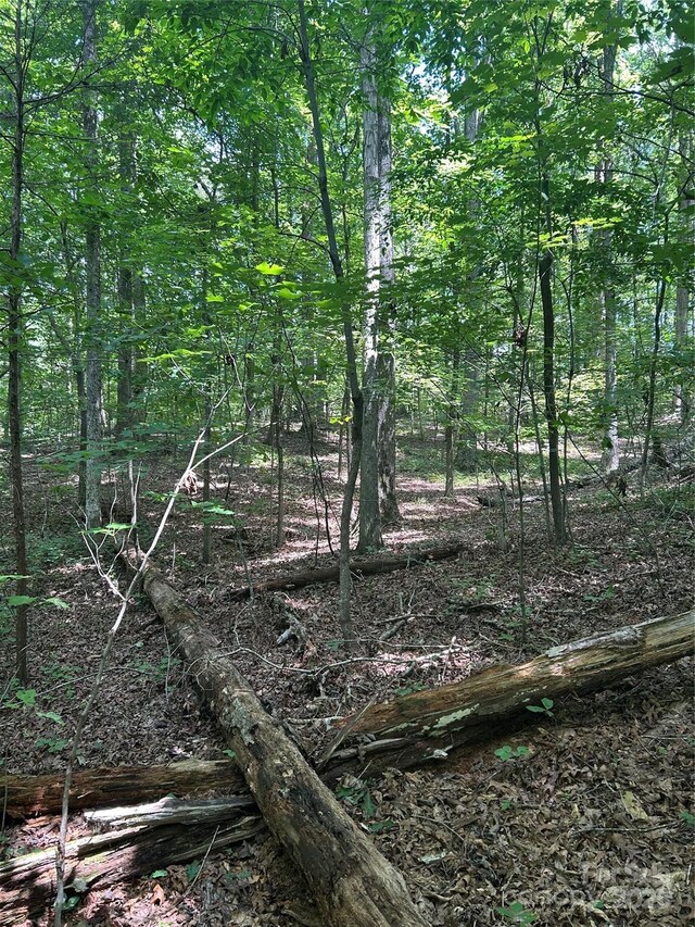8710 Whitley Rd, Norwood, NC 28128 - photo 8