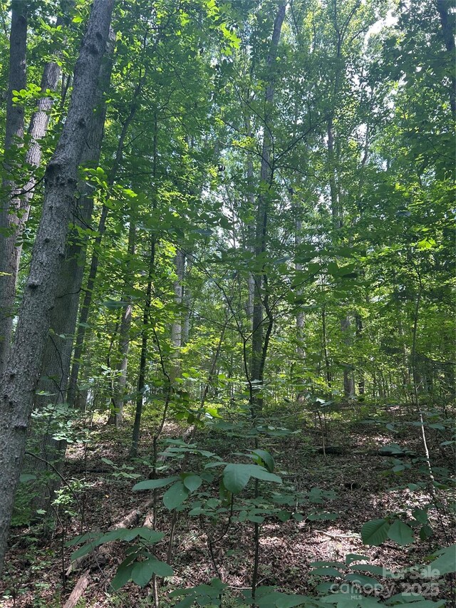 8710 Whitley Rd, Norwood, NC 28128 - photo 10