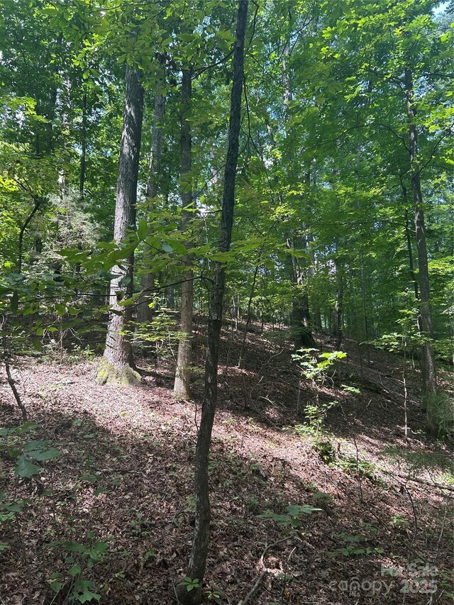 8710 Whitley Rd, Norwood, NC 28128 - photo 15