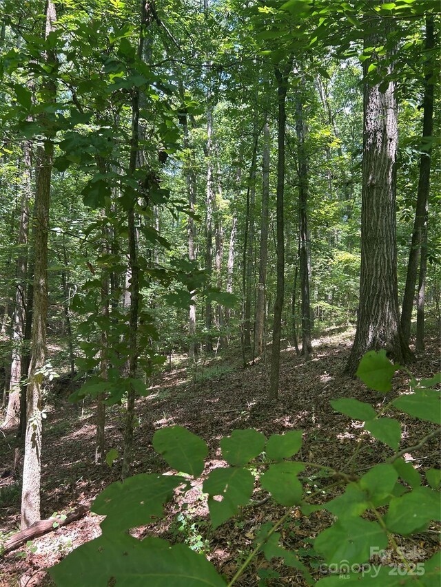 8710 Whitley Rd, Norwood, NC 28128 - photo 20