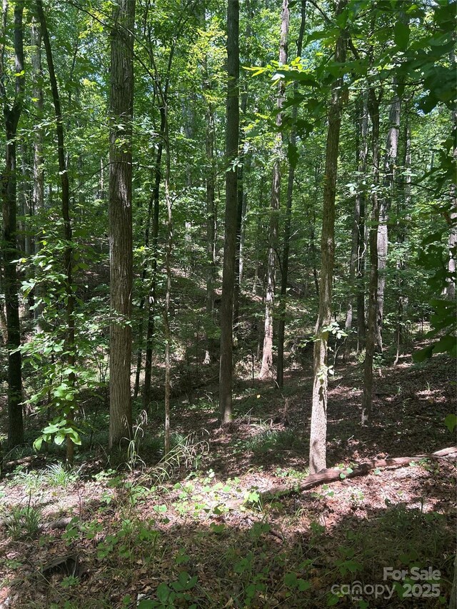 8710 Whitley Rd, Norwood, NC 28128 - photo 21