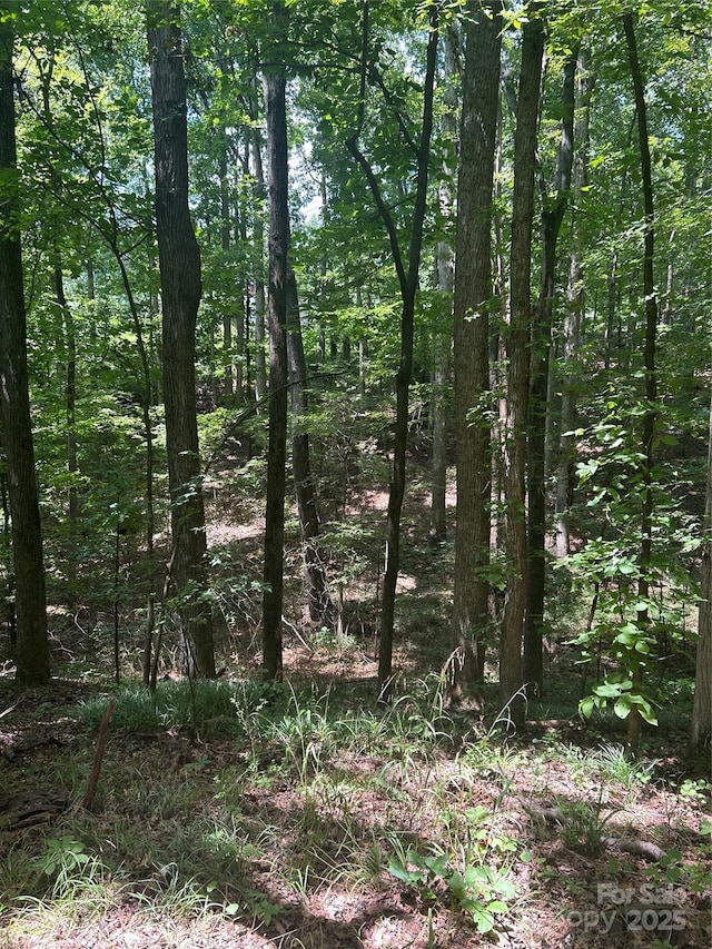 8710 Whitley Rd, Norwood, NC 28128 - photo 22