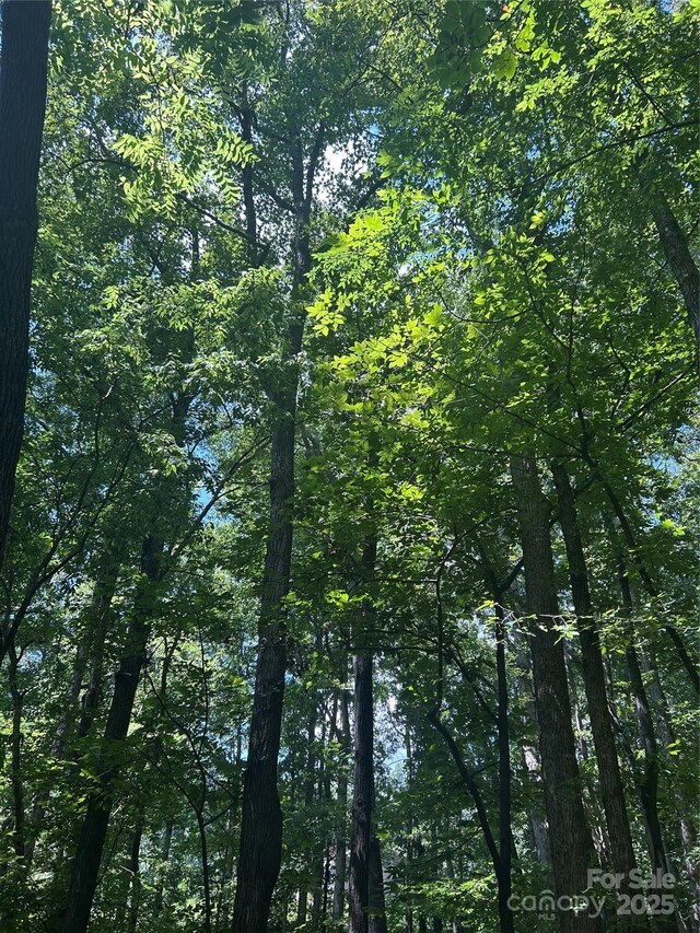 8710 Whitley Rd, Norwood, NC 28128 - photo 23