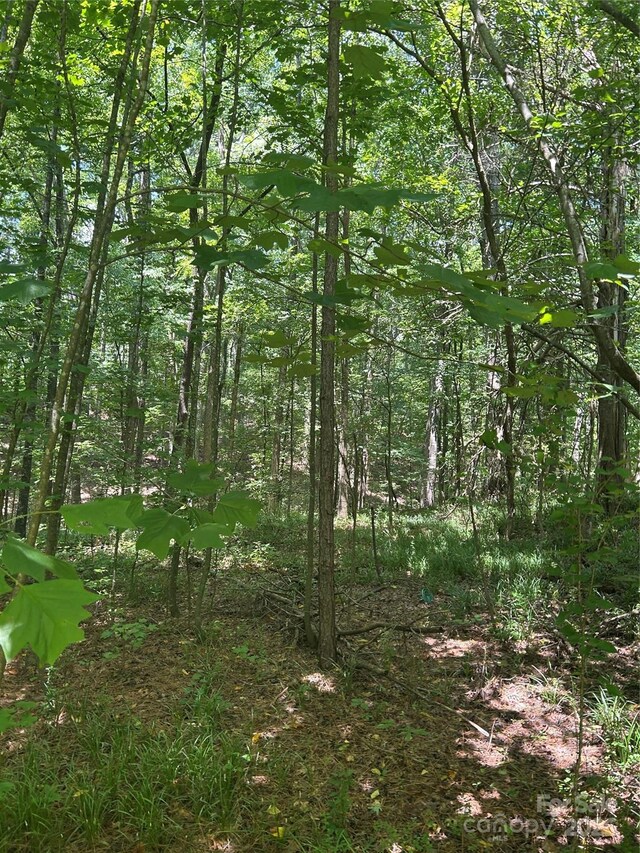 8710 Whitley Rd, Norwood, NC 28128 - photo 24