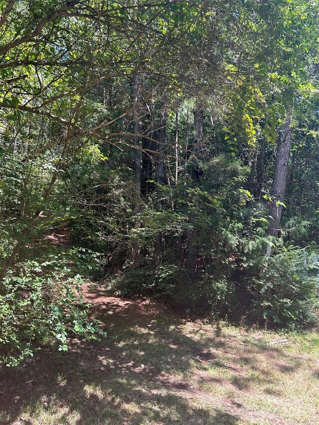8710 Whitley Rd, Norwood, NC 28128 - photo 26