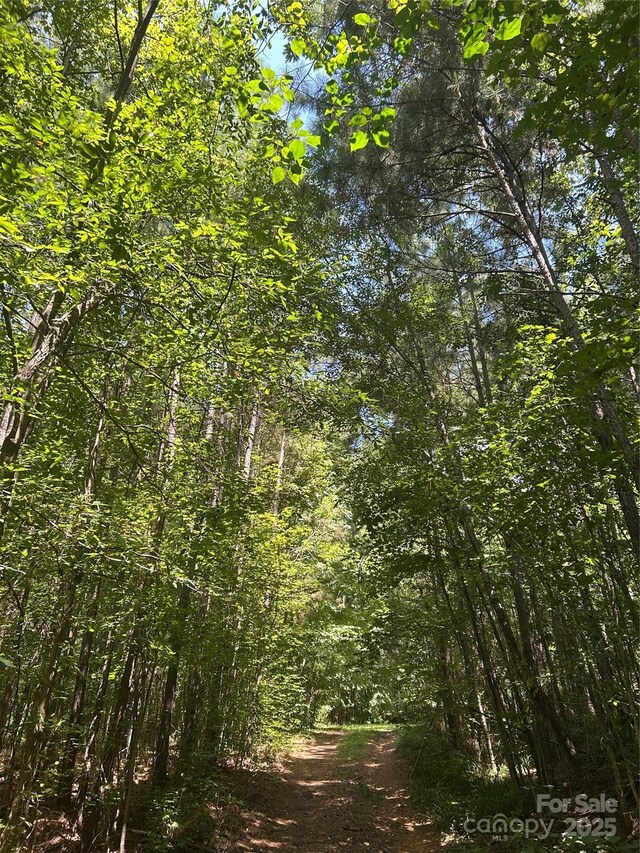 8710 Whitley Rd, Norwood, NC 28128 - photo 28