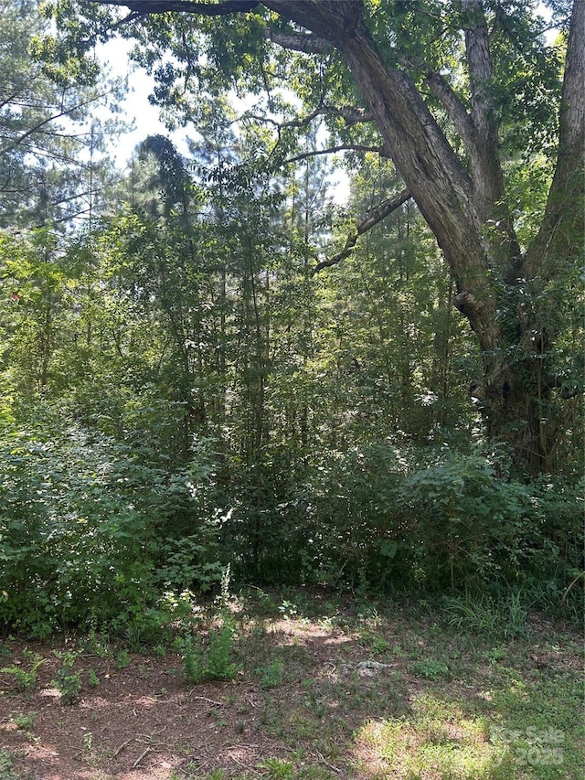 8710 Whitley Rd, Norwood, NC 28128 - photo 34