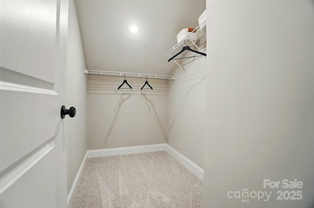 12069 Lavinia Ln, Charlotte, NC 28277 - photo 38