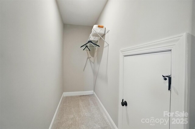12069 Lavinia Ln, Charlotte, NC 28277 - photo 39