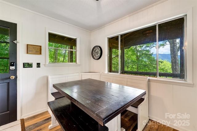 413 Tuskeegee Acres Rd, Robbinsville, NC 28771 - photo 8