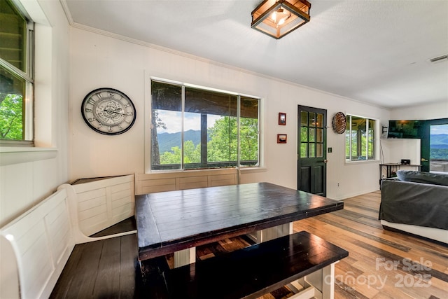 413 Tuskeegee Acres Rd, Robbinsville, NC 28771 - photo 9