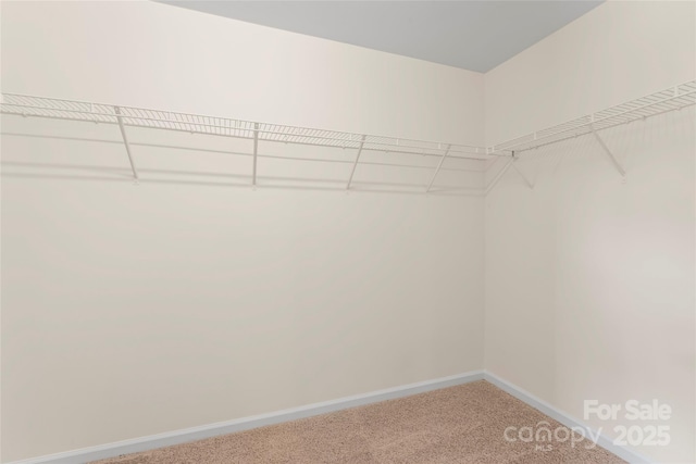 305 Lameshur Ln, Monroe, NC 28110 - photo 24
