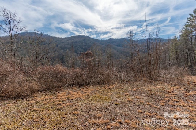 2220 Tilley Creek Rd, Cullowhee, NC 28723 - photo 1