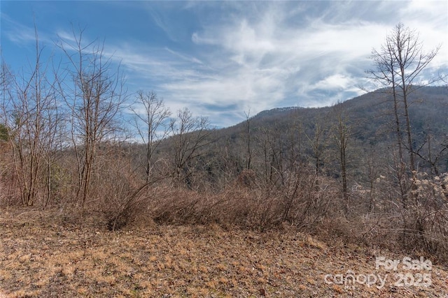2220 Tilley Creek Rd, Cullowhee, NC 28723 - photo 2
