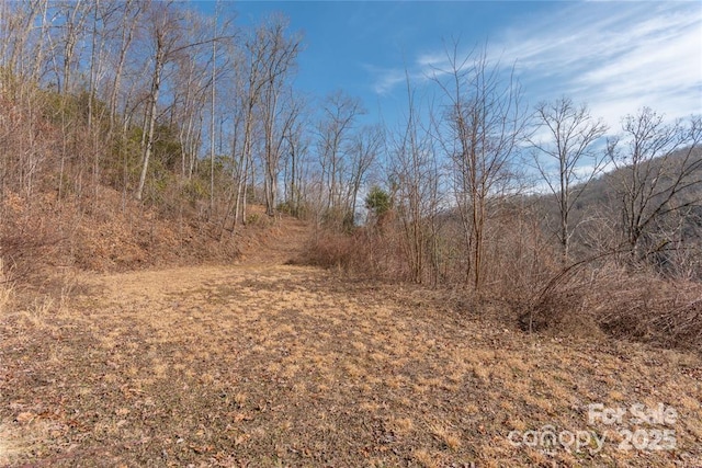 2220 Tilley Creek Rd, Cullowhee, NC 28723 - photo 3
