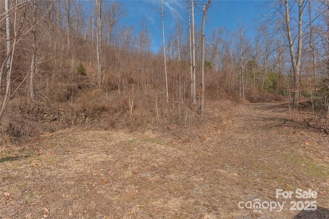 2220 Tilley Creek Rd, Cullowhee, NC 28723 - photo 4