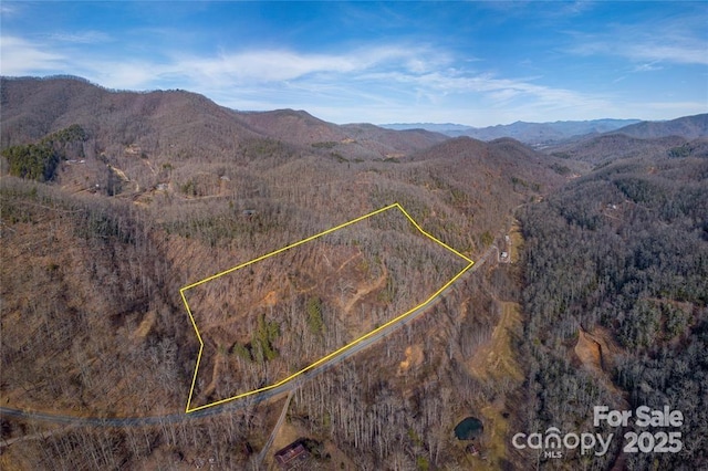 2220 Tilley Creek Rd, Cullowhee, NC 28723 - photo 6