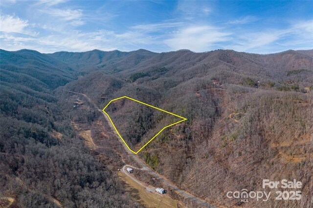 2220 Tilley Creek Rd, Cullowhee, NC 28723 - photo 7