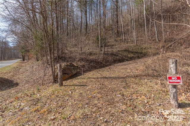2220 Tilley Creek Rd, Cullowhee, NC 28723 - photo 8