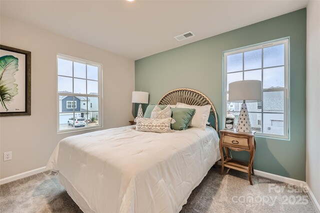 2153 Trollinger Dr, Catawba, NC 28609 - photo 20