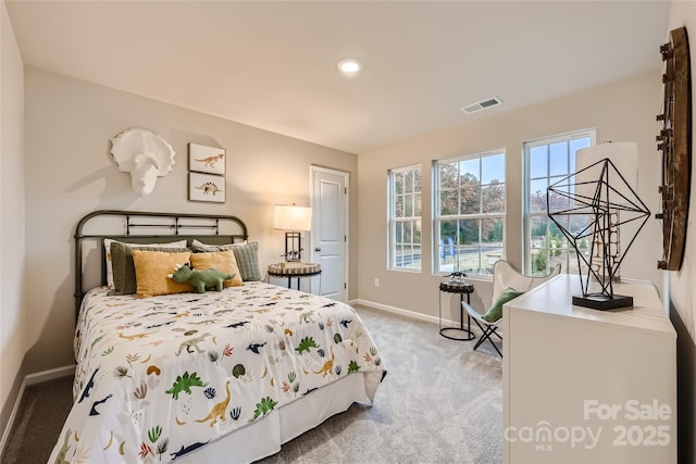 2153 Trollinger Dr, Catawba, NC 28609 - photo 22